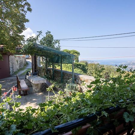 Violet'S Place Crni Kal Exterior photo