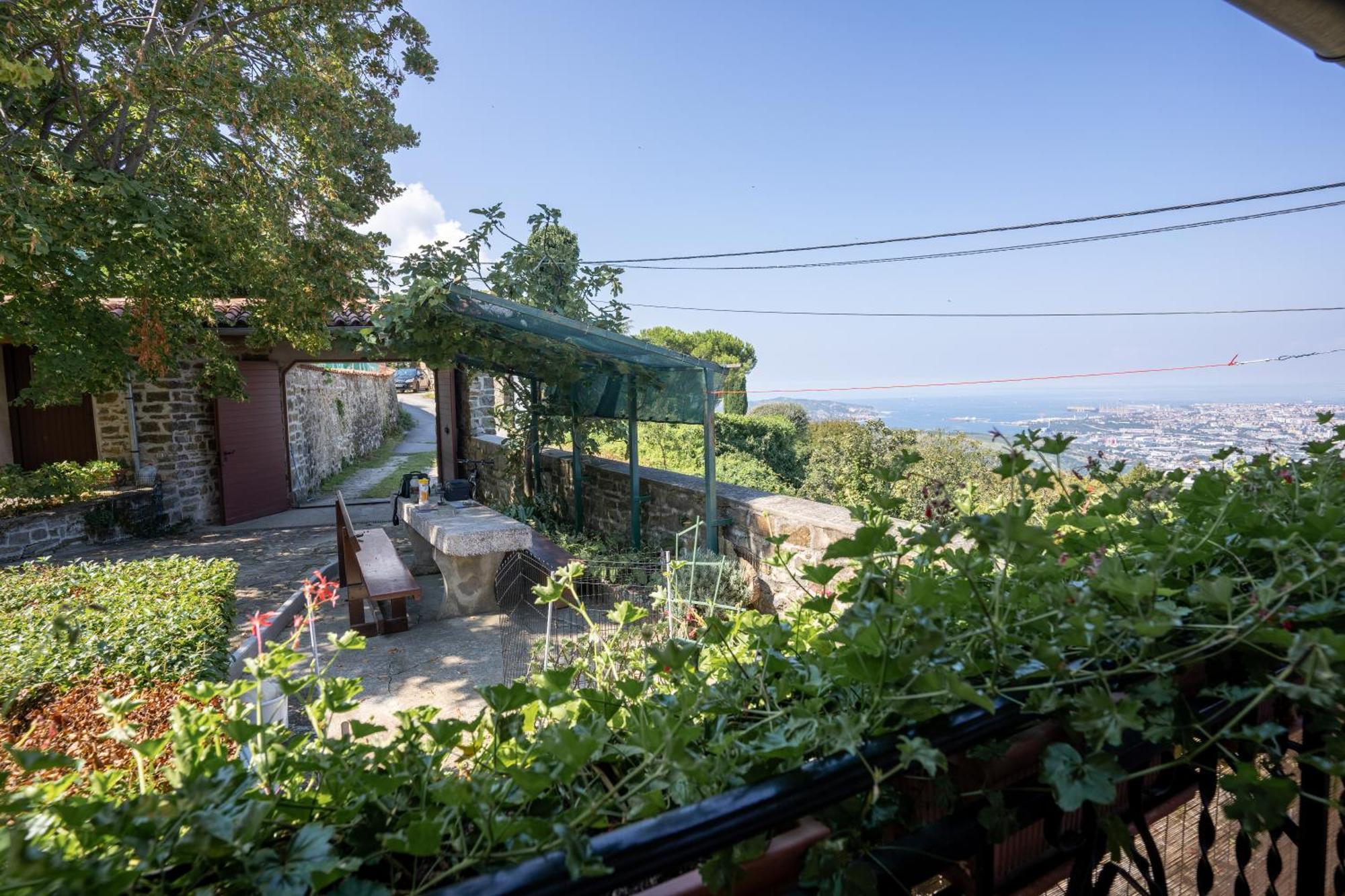 Violet'S Place Crni Kal Exterior photo